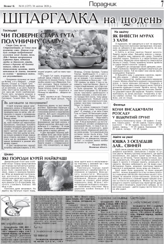 Сторінка № 7 | Газета «ВІСНИК+К» № 18 (1257)