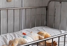 Узяв запальничку і підпалив братика: на Рівненщині рятують життя 8-місячного малюка