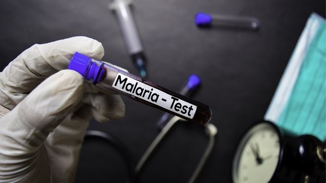 У Львові в чоловіка виявили тропічну малярію