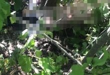 Не захотіла сексу: на Київщині підліток пояснив, чому вбив 12-річну дівчину