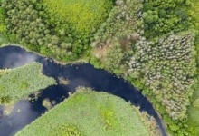 Міжнародна водна траса загрожує екології волинського і всього українського Полісся