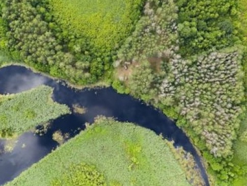 Міжнародна водна траса загрожує екології волинського і всього українського Полісся