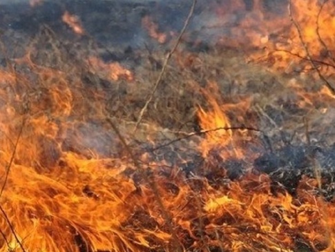 На Львівщині 36-річна жінка потрапила в реанімацію через спалювання трави