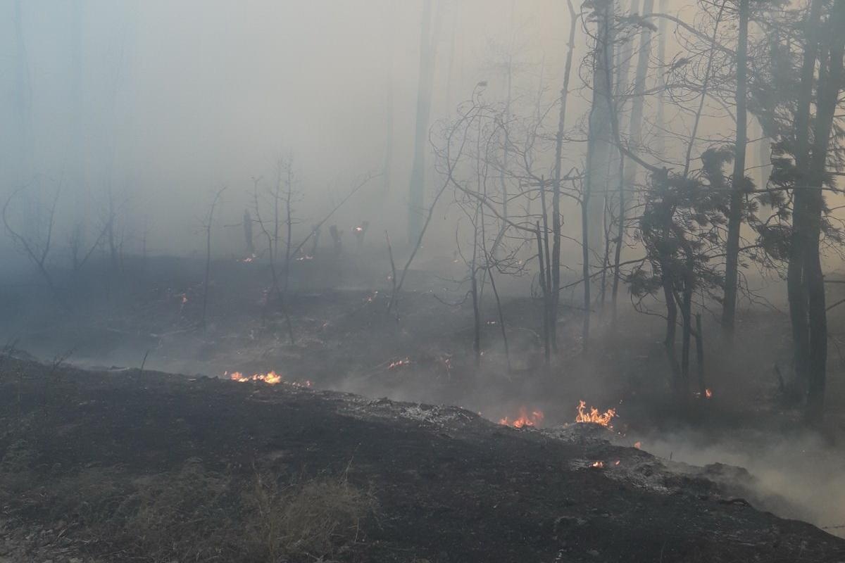 В пожежі на Луганщині загинув військовий, якого вважали безвісти зниклим