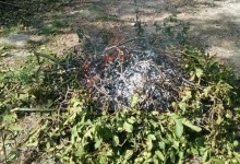 У Луцьку оштрафували чоловіка, який спалював листя біля будинку