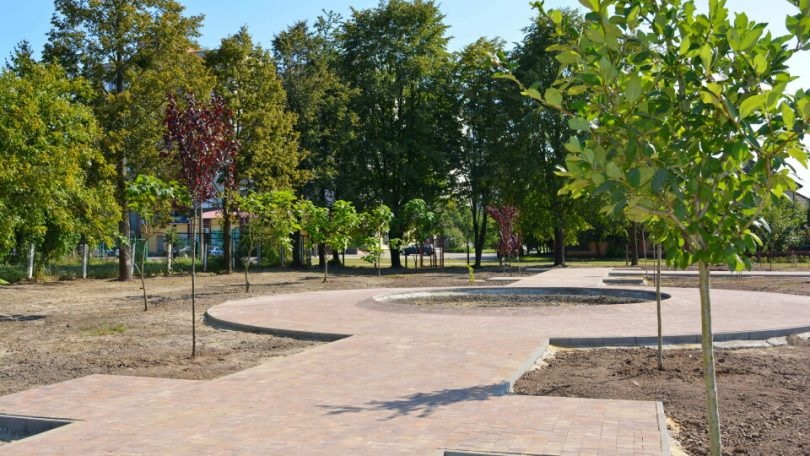 Біля перинатального в Луцьку висаджуватимуть дерева новоспечені батьки