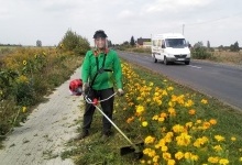 Мотоцикліст збив відомого волинянина, який садить квіти на обочинах доріг