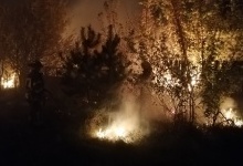 На Луганщині через масштабні пожежі евакуюють людей