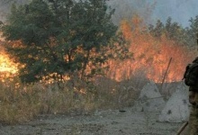Луганщина у вогні через навмисний підпал бойовиків