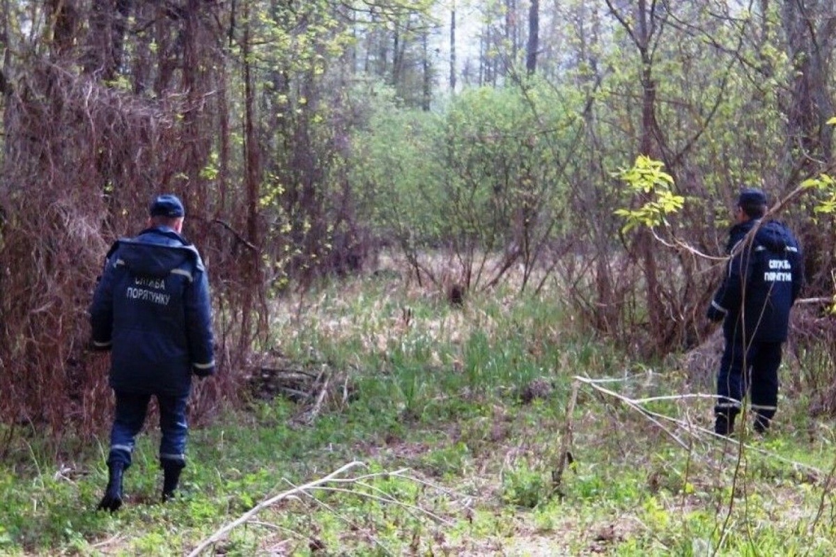 На Волині прочісували ліс у пошуках зниклої жінки