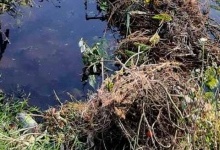 На Полтавщині у ставку знайшли тіло вбитої 17-річної дівчини