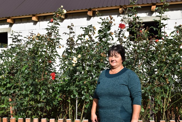 Сім'я волинян біля будинку висадила тисячі троянд