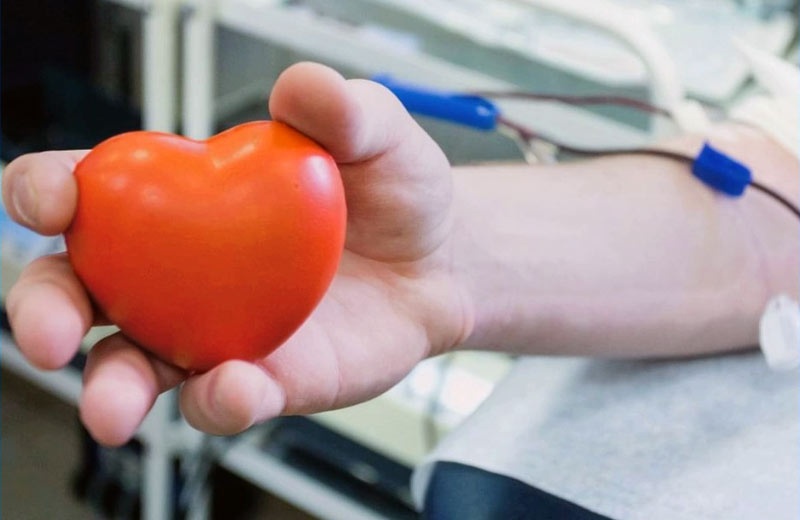 У Луцьку шукають донорів крові для онкохворих дітей