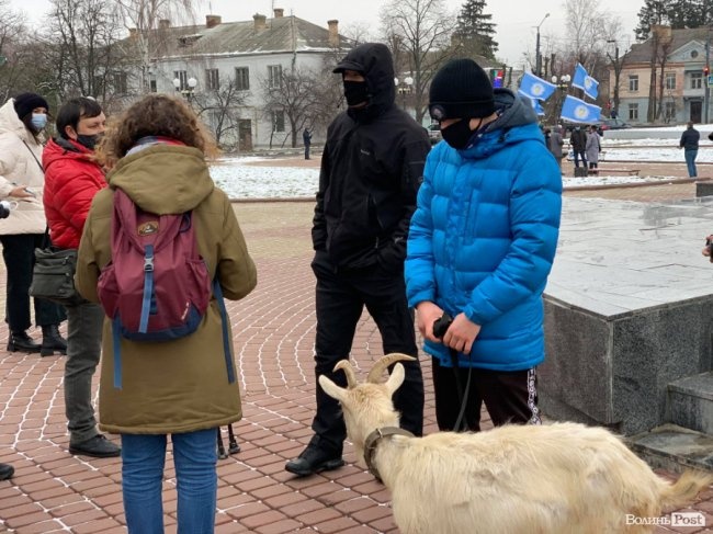 «Досить доїти Волинь»: на мітинг біля ОДА привели козу