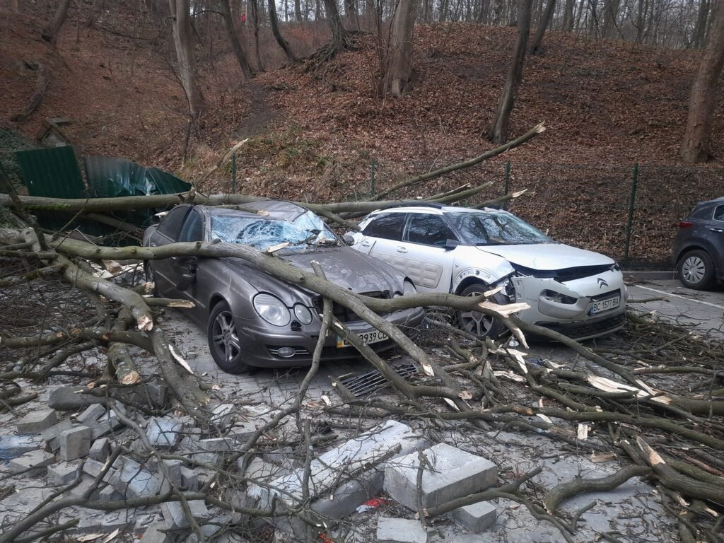 У Львові через сильний вітер дерева попадали на автомобілі