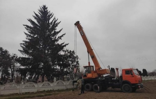 У місті на Рівненщині встановили ялинку із кладовища
