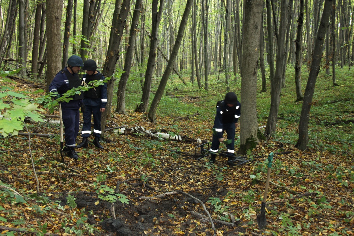 Безвісти зниклу жінку з Рівненщини знайшли мертвою у лісі