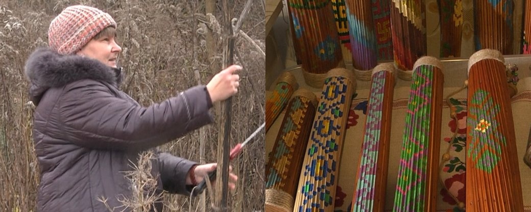 Лучанка виготовляє музичні інструменти з небезпечної рослини