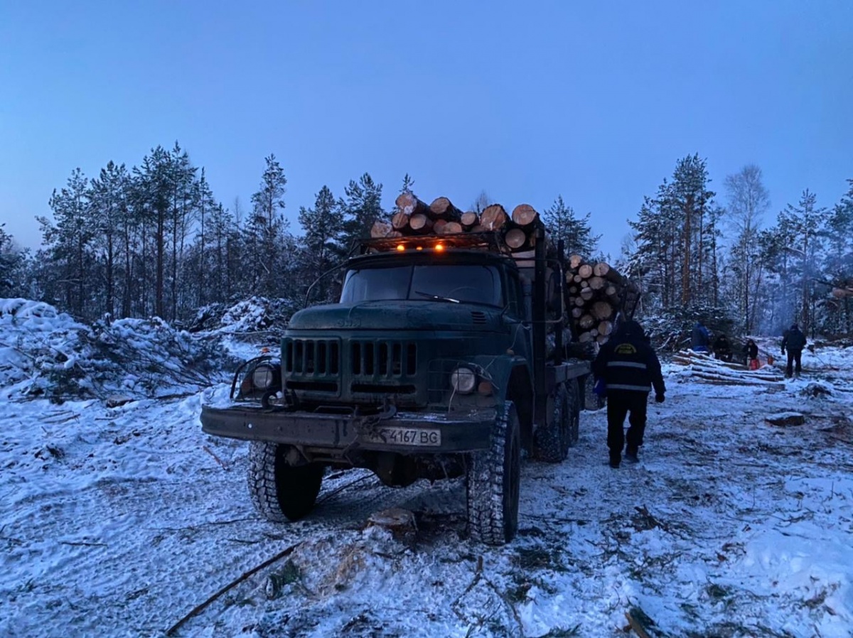 На Волині виявили вантажівку краденого лісу