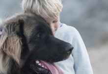 Хлопчика від морозу врятував пес-приблуда