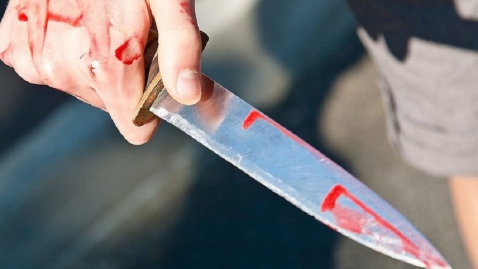 На Волині поліцейські застосували зброю, щоб зупинити нападника з ножем