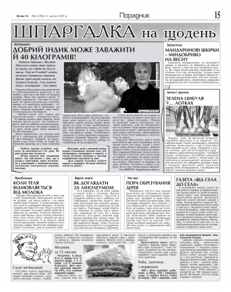 Сторінка № 15 | Газета «ВІСНИК+К» № 06 (1298)