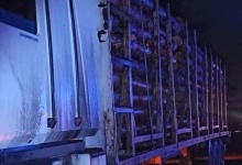На трасі «Київ – Ковель – Ягодин» зупинили вантажівку з незаконною деревиною