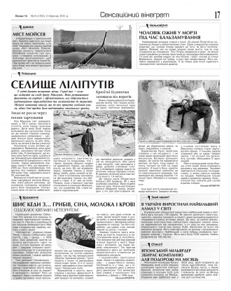Сторінка № 17 | Газета «ВІСНИК+К» № 10 (1302)