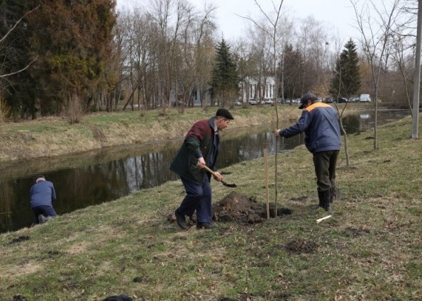 У парку в Луцьку посадили 300 дерев