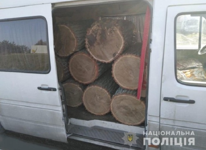 Біля Луцька водій з незаконною деревиною дав хабаря патрульним