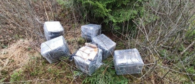 Волинські прикордонники знайшли в лісі сховок з контрабандними медикаментами