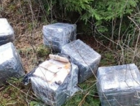 Волинські прикордонники знайшли в лісі сховок з контрабандними медикаментами