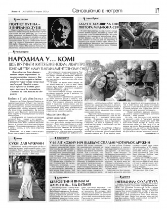 Сторінка № 17 | Газета «ВІСНИК+К» № 23 (1315)
