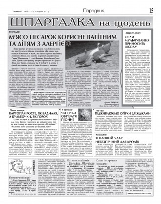 Сторінка № 15 | Газета «ВІСНИК+К» № 25 (1317)