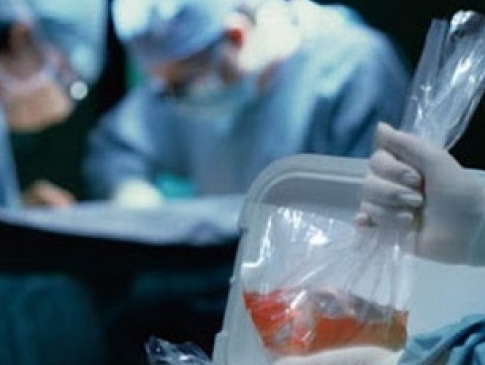 Вперше в Україні двом діткам трансплантували нирки від одного донора
