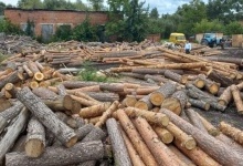 На Волині на лісопильні вилучили незаконну деревину