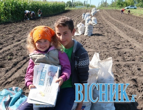 Внуки Марійка і Толик допомагали бабусі збирати врожай