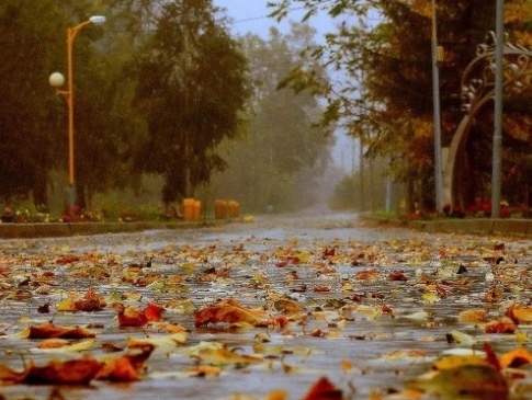 Осінь повністю увійшла у свої володіння на території України: кінець оксамитового сезону та початок дощового періоду