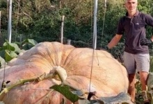 В Італії виростили найбільший у світі гарбуз