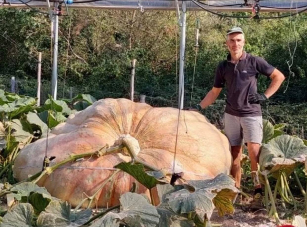 В Італії виростили найбільший у світі гарбуз