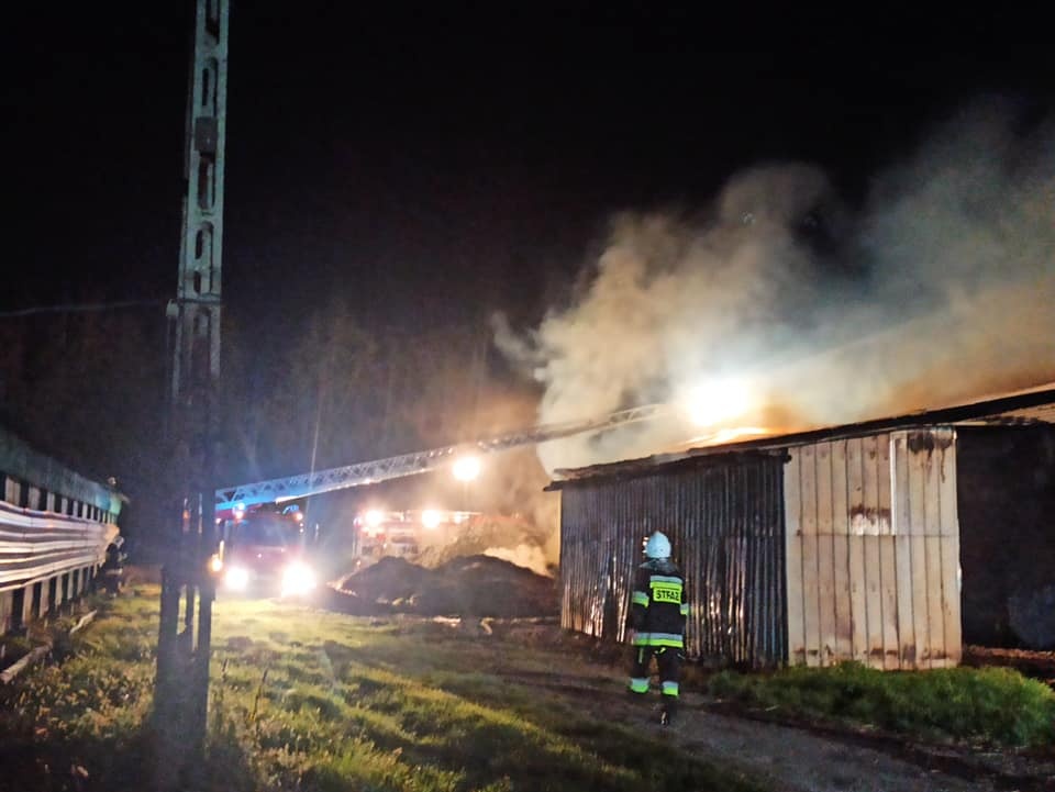 У Польщі троє українців підпалили курячу ферму