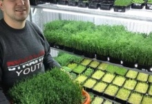 Волинянин вирощує екзотичну зелень для салатів