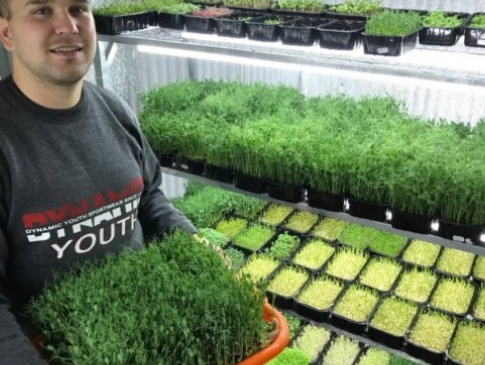 Волинянин вирощує екзотичну зелень для салатів