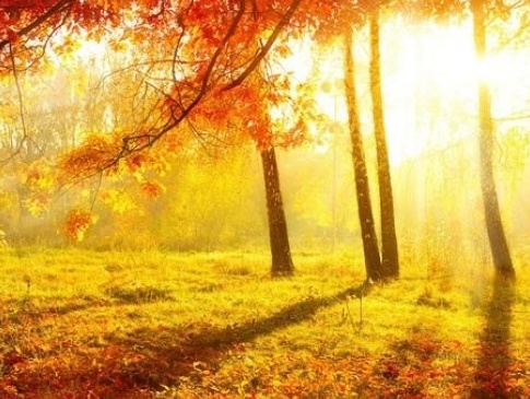 Погода 14 жовтня: День захисників та захисниць України буде сонячним і теплим