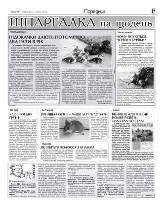 Сторінка № 15 | Газета «ВІСНИК+К» № 41 (1333)