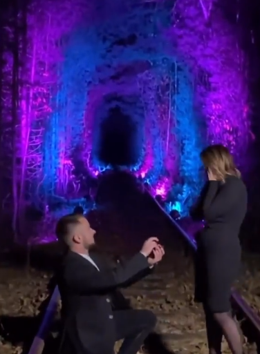 На Рівненщині хлопець підсвітив «Тунель закоханих», щоб освідчитися дівчині