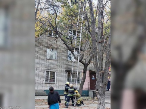 На Дніпропетровщині з дерева зняли вагітну жінку