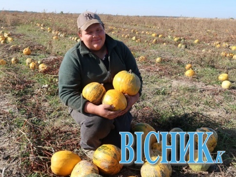На Волині 18-літній господар збирає врожай гарбузів на 15 гектарах