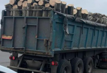 У Луцьку зупинили водія вантажівки з  деревиною без документів