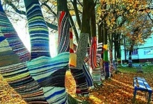 На Прикарпатті вчителька одягає дерева у барвисті «светри»